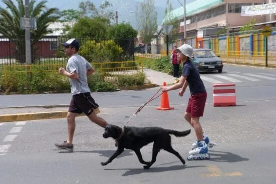 Se inaugura nueva Calle Activa en Puente Alto