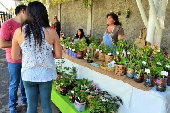 Vecinos de Puente Alto muestran toda su creatividad en feria de reciclaje
