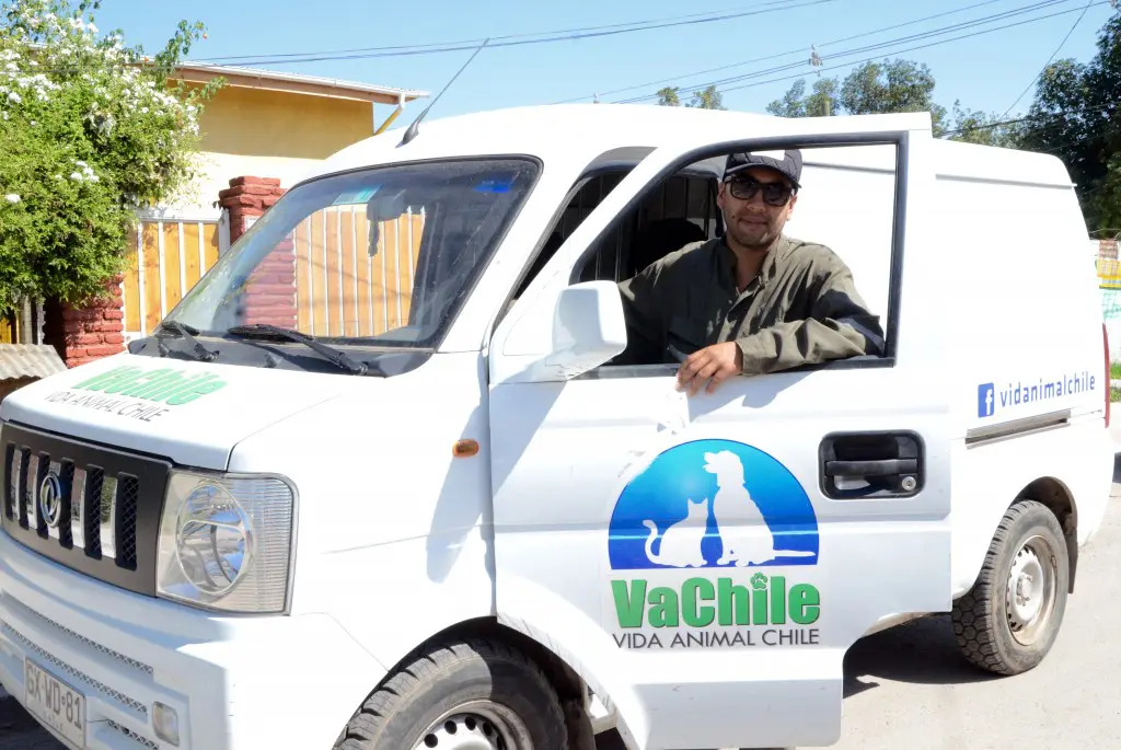 Vida Animal Chile: El largo camino hacia una casa