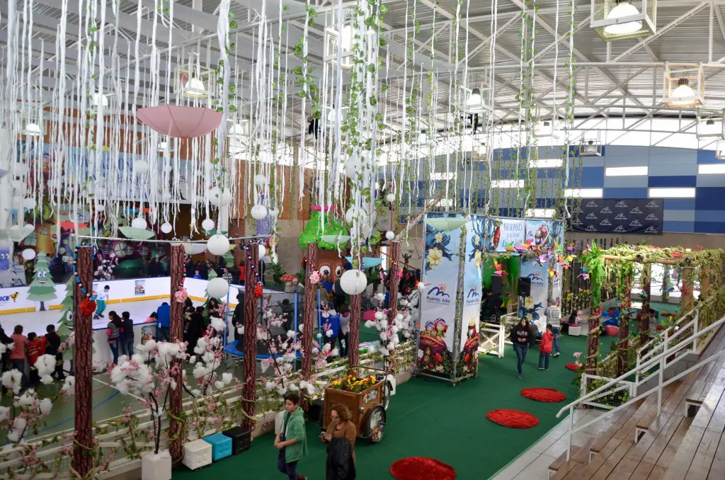 Info Municipal: Este bosque encantó a 80 mil niños en vacaciones