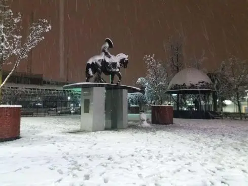 Nieve: Puente Alto se vistió de blanco