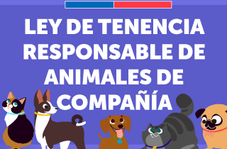 ¡Atención vecin@s! Desde el 2015 la veterinaria municipal instala chip a los perritos de la comuna.