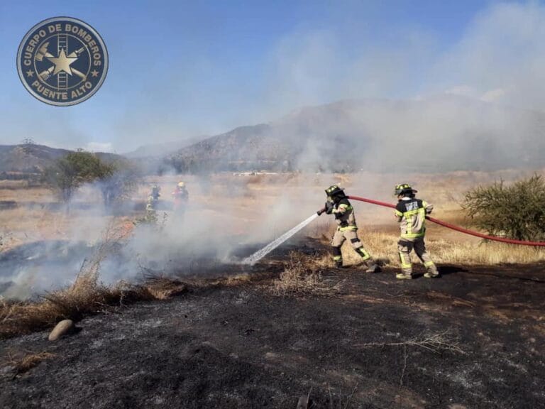 Incendio forestal en Puente Alto consumió aproximadamente 75 hectáreas de vegetación