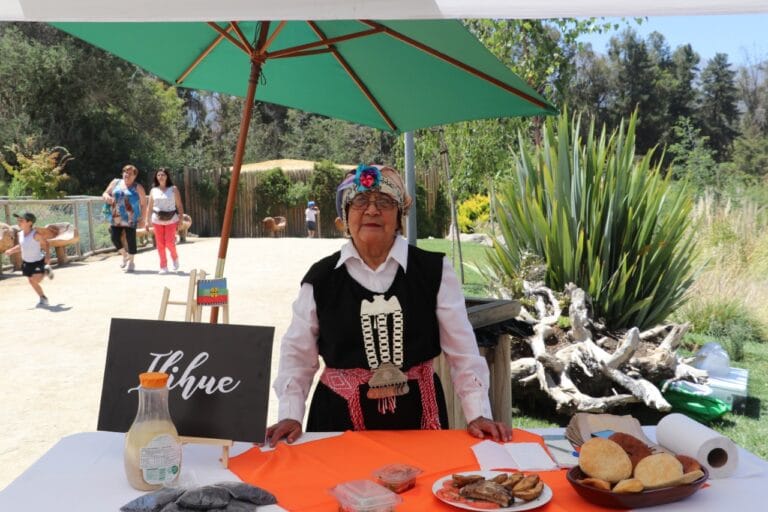 Entrevista a Herna Rosas: Gastronomía Mapuche en Puente Alto