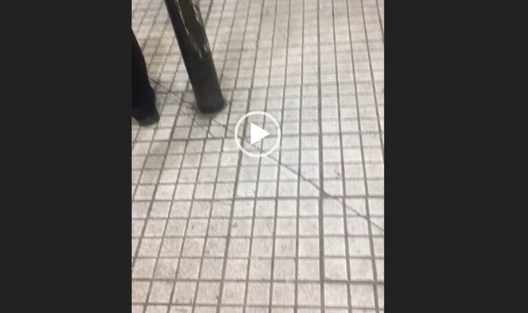 Video//Cliente denuncia agresión de guardias en supermercado de Puente Alto