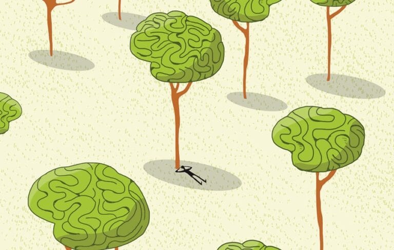 5 datos de la neurociencia para entender a los adolescentes