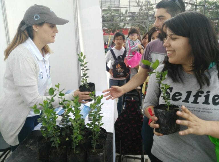 La Municipalidad celebrará el día del medioambiente con nueva feria en la Plaza de Puente Alto
