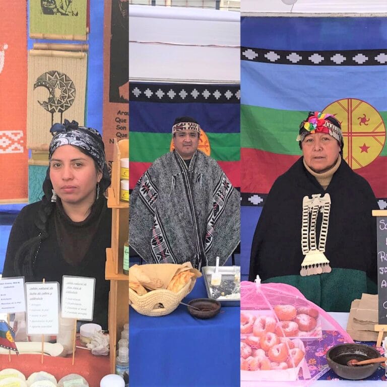 Puentealtinos mapuches explican la importancia del We Tripantu