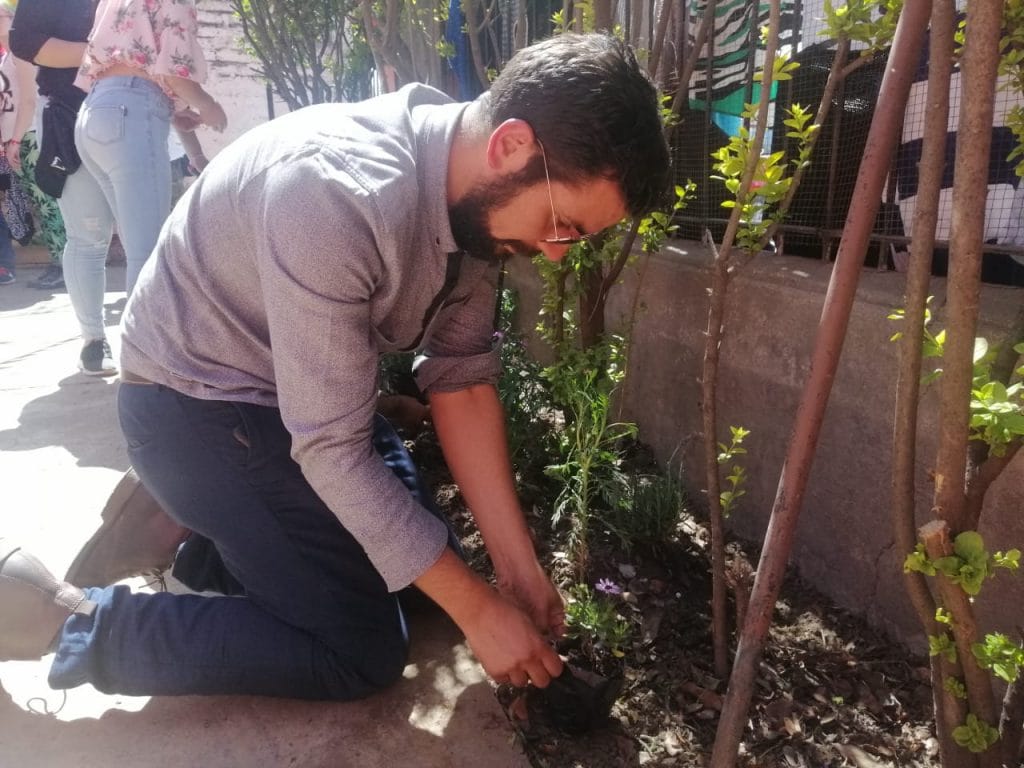 Realizan campaña de polinización en Puente Alto para rescatar a las abejas
