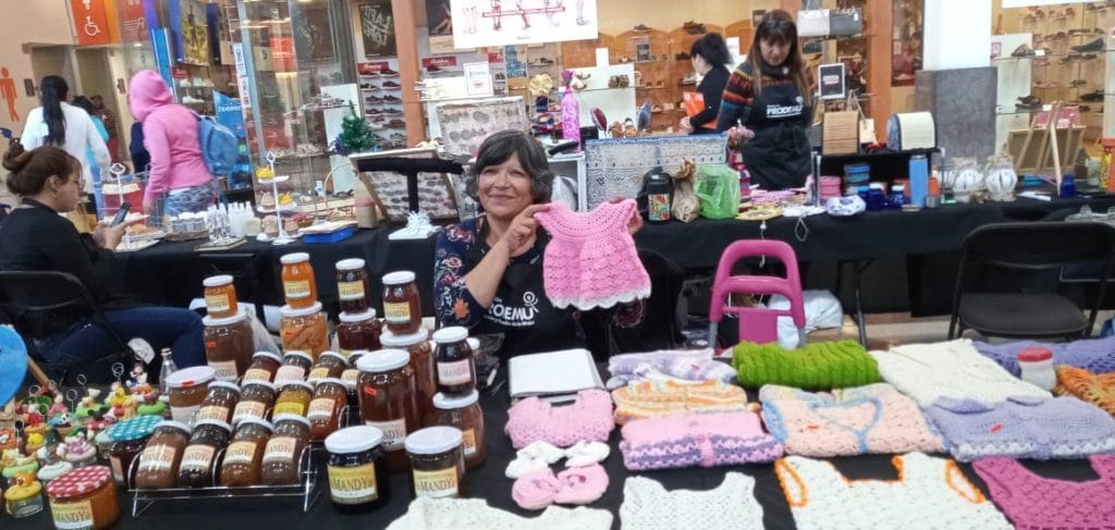 Emprendedoras de Puente Alto y Pirque exponen sus productos en Espacio Urbano