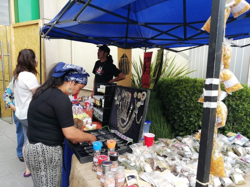 Newen Wakolda, agrupación de emprendedores Mapuches que buscan fortalecer la Identidad Cultural