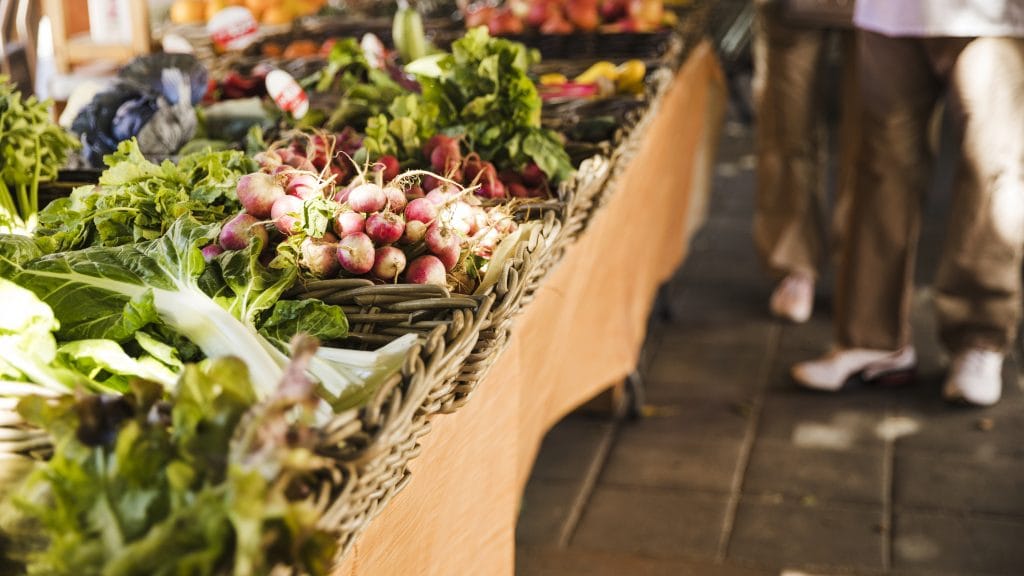 No tocar la mercadería y horarios diferenciados son algunas de las medidas que tomarán las Ferias Libres por coronavirus