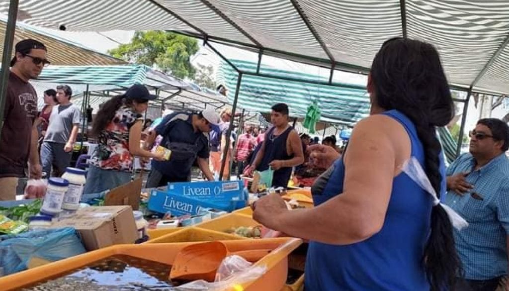 Feria Grande trabajará hasta viernes 20 de marzo, mientras otras podrán funcionar con horario acotado Fuente: Facebook Feria Grande