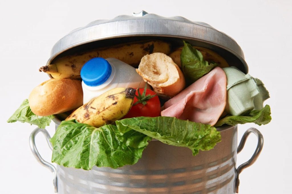 Toneladas de comida se desperdician anualmente en Chile, buscan aprobar ley para combatir el desperdicio