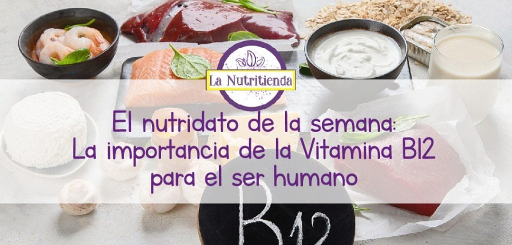 La importancia de la Vitamina B12 para el ser humano