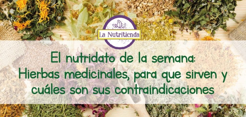Hierbas medicinales, para qué sirven y cuáles son sus contraindicaciones
