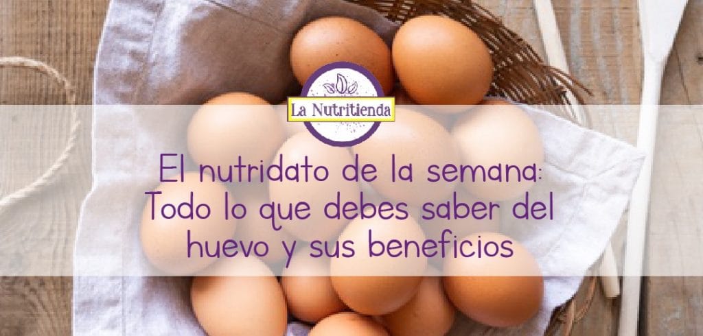 Todo lo que debes saber del huevo y sus beneficios