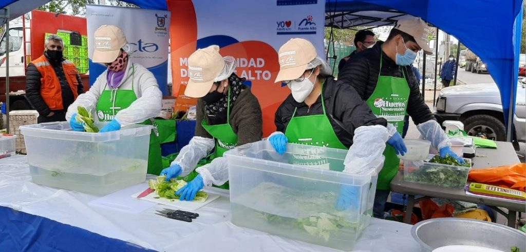 Comienza en Puente Alto plan piloto nacional para evitar desperdicio de alimentos en ferias libres alimentos