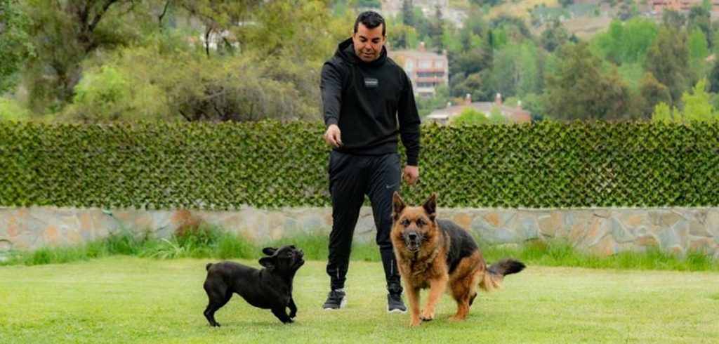 Puentealtino fundó Pet Funeral la primera funeraria de mascotas en Chile
