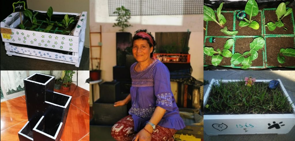 Vecina de Villa La Salud emprende con “Mi Pequeño Huerto” y llega a hogares de Puente Alto