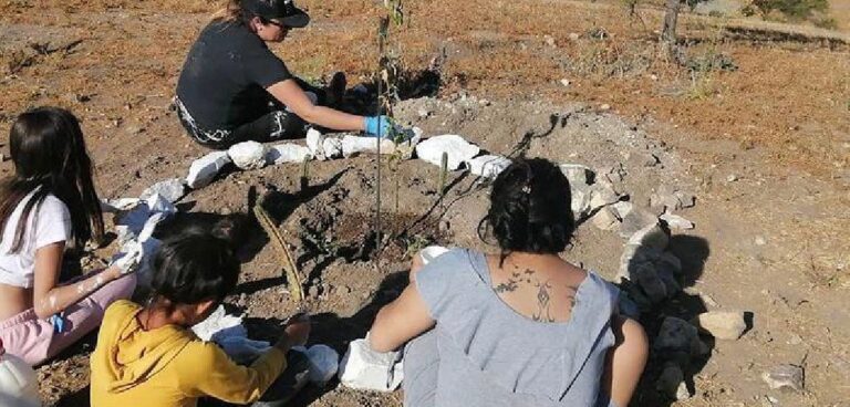 Puentealtinos crean iniciativa para limpiar y embellecer cerro de Bajos de Mena