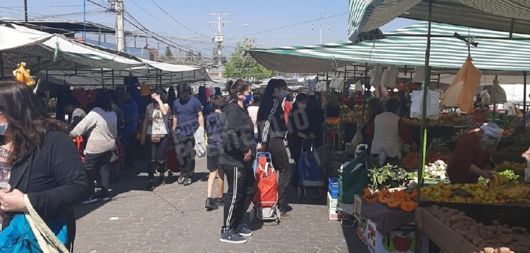 ¡Con domingos incluidos! Conoce el nuevo calendario de funcionamiento de las ferias libres en Puente Alto