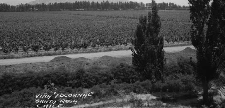 Plan regulador de 1960 buscaba preservar la cultura y paisaje puentealtino