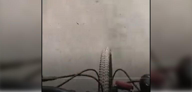 Video grabado por ciclista en Puente Alto revela problema de convivencia vial