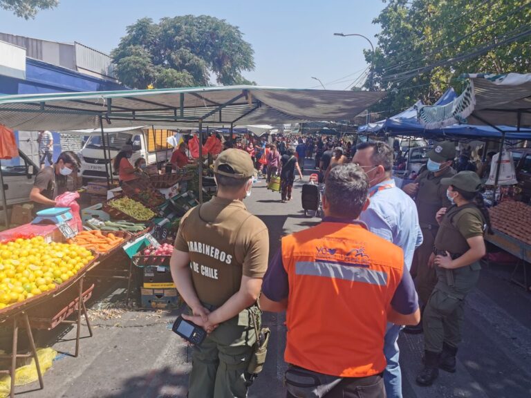 Conoce el funcionamiento de ferias libres para este fin de semana en Puente Alto