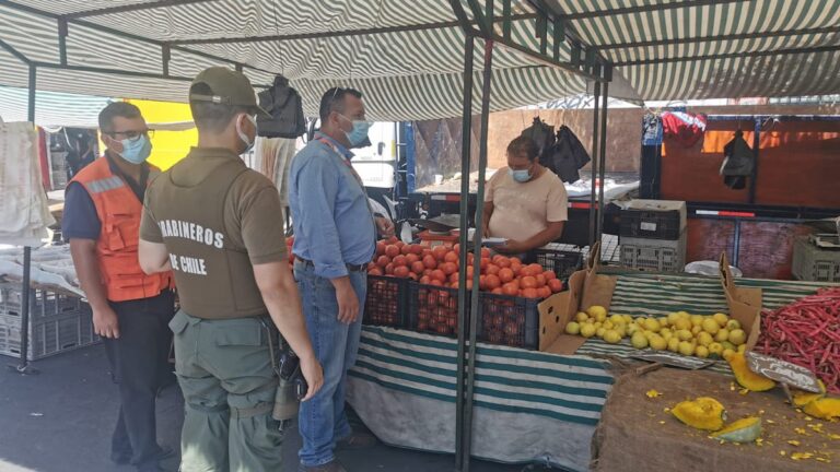 Patentados de Feria Grande de Puente Alto fueron multados por desacatar decreto municipal