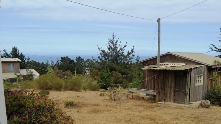 Conoce cómo funcionará el “permiso de vacaciones” anunciado por el Gobierno