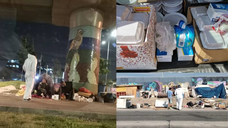 Pulmón Verde Bajos de Mena, la agrupación de Puente Alto que se mueve constantemente por la ayuda social