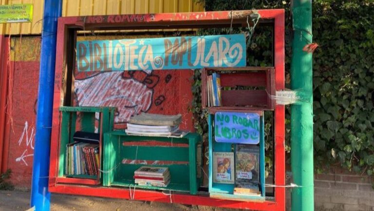 ¡Vecinos de villa Andes del Sur instalan bibliotecas populares en sectores de Puente Alto!
