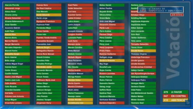 Impuesto a los súper ricos: ¿cómo votaron los diputados del distrito? Imagen de los resultados de votación en cámara de diputados