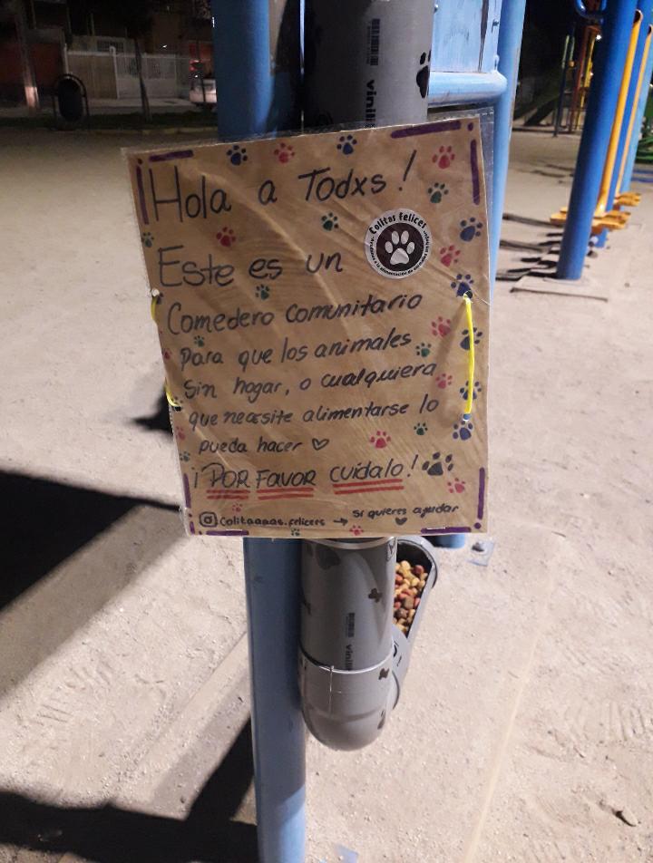 Vecina de Puente Alto diseñó “comedores comunitarios“ para alimentar animales sin hogar