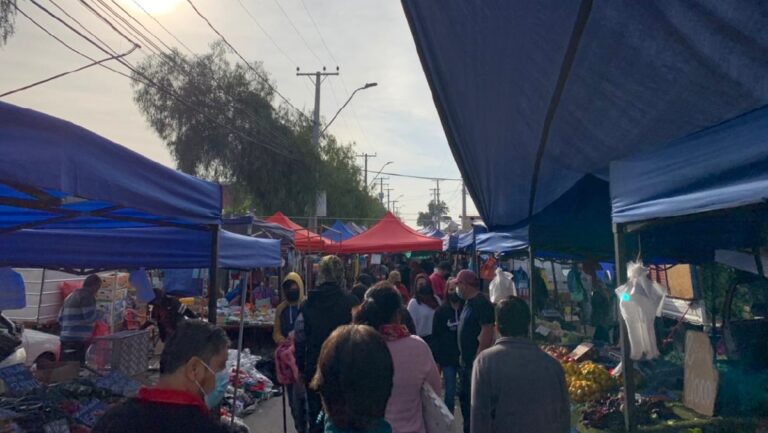 Puente Alto en fase 3: conozca el funcionamiento de ferias libres en la comuna