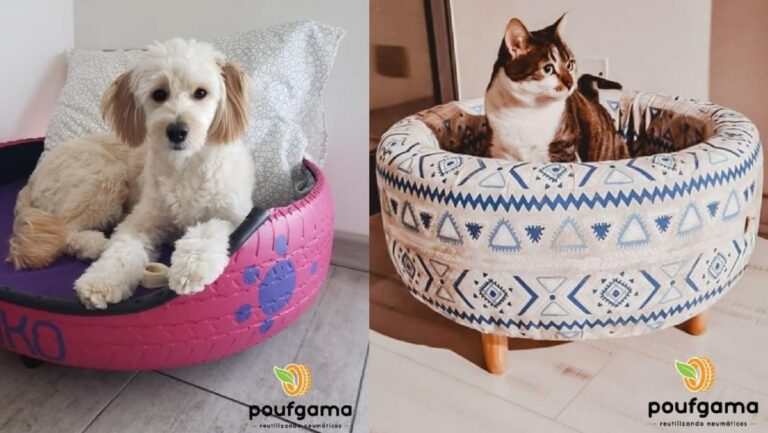 Pouf Gama: El emprendimiento de Puente Alto que da una segunda vida a los neumáticos en desuso