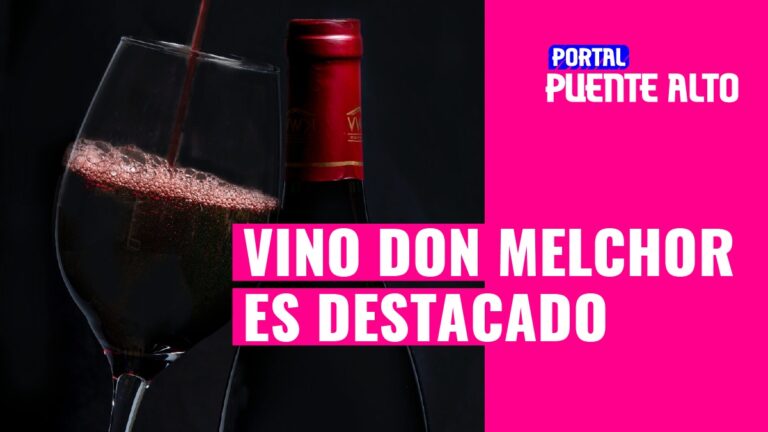 Vino elaborado con uvas de Puente Alto es destacado como uno de los mejores 100 del año