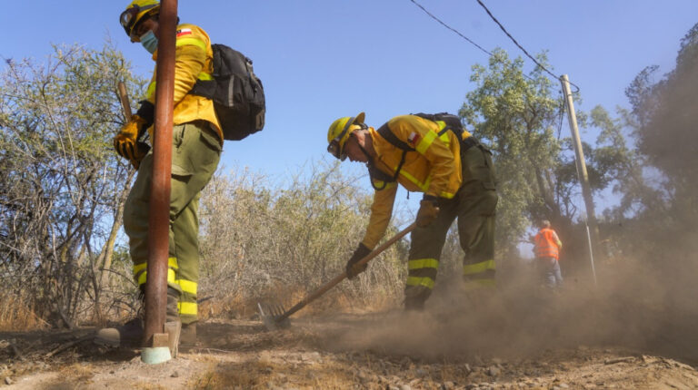 Brigadistas de CMPC realizaron acciones preventivas en sector de Hacienda El Peñón