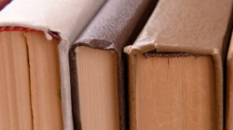¡Para amantes de la lectura! Conozca el funcionamiento de Bibliometro Plaza de Puente Alto
