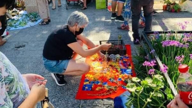 ¡Anímate a participar! Puente Alto tendrá el tercer encuentro de intercambio de plantas
