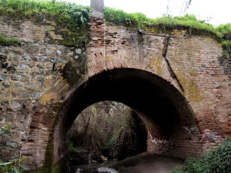 Carabineros de Puente Alto rescató a joven que cayó en canal San Carlos tras escapar de delincuentes