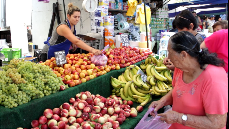 Ferias libres de Puente Alto: revise la programación actualizada de las distintas ferias de la comuna