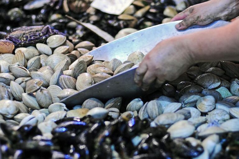 Revisa las recomendaciones para el consumo de pescados y mariscos en Semana Santa