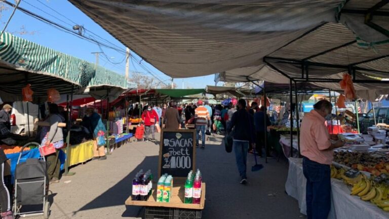 Ferias libres en Puente Alto: ¿dónde se instalan y qué días trabajan?