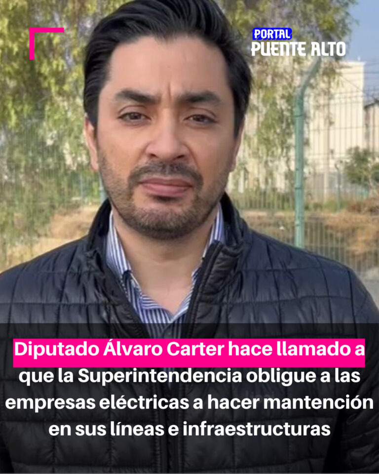 Diputado Álvaro Carter hace llamado a que la Superintendencia obligue a las empresas eléctricas a hacer mantención en sus líneas e infraestructuras