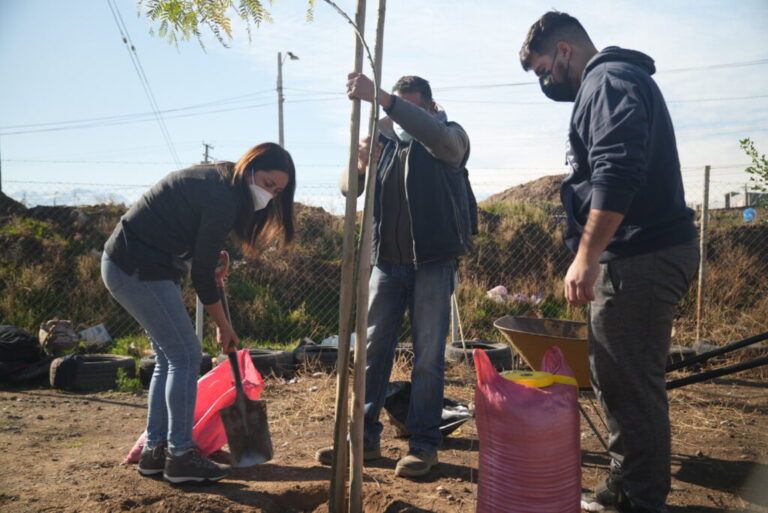 Vecinos de Bajos Mena recibirán 200 árboles para crear un parque