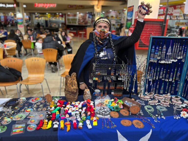 Ven a vivir el “Wiñol Tripantü”: una muestra Cultural Mapuche en Puente Alto
