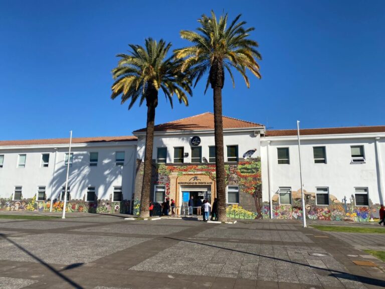Municipalidad de Puente Alto presentó “Portal Pago”, sitio web para pagar servicios municipales