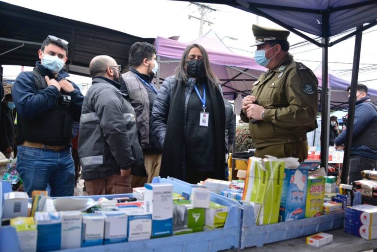 Se fiscalizó el comercio ilegal en feria libre de Puente Alto
